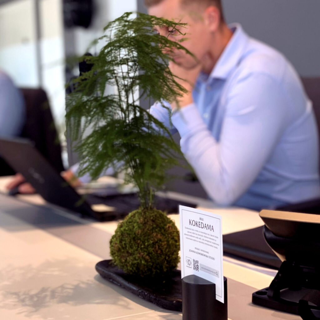 Kokedama w przestrzeni firmowej - idealna dekoracja biura, restauracji, salonu kosmetycznego...