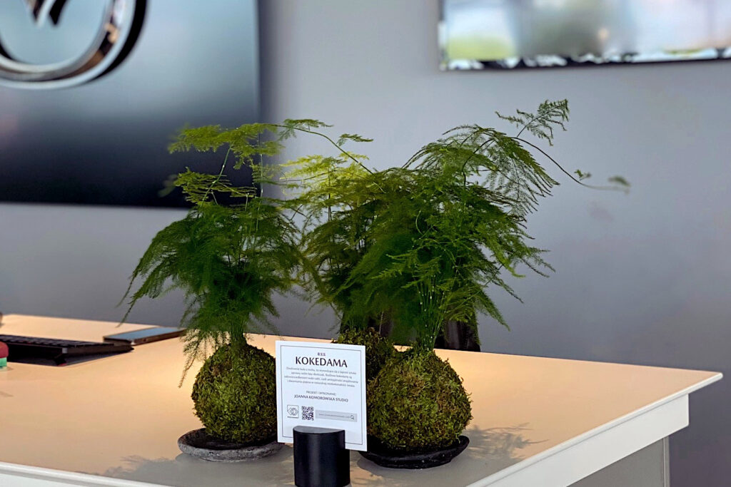 Roślinne dekoracje - kokedama