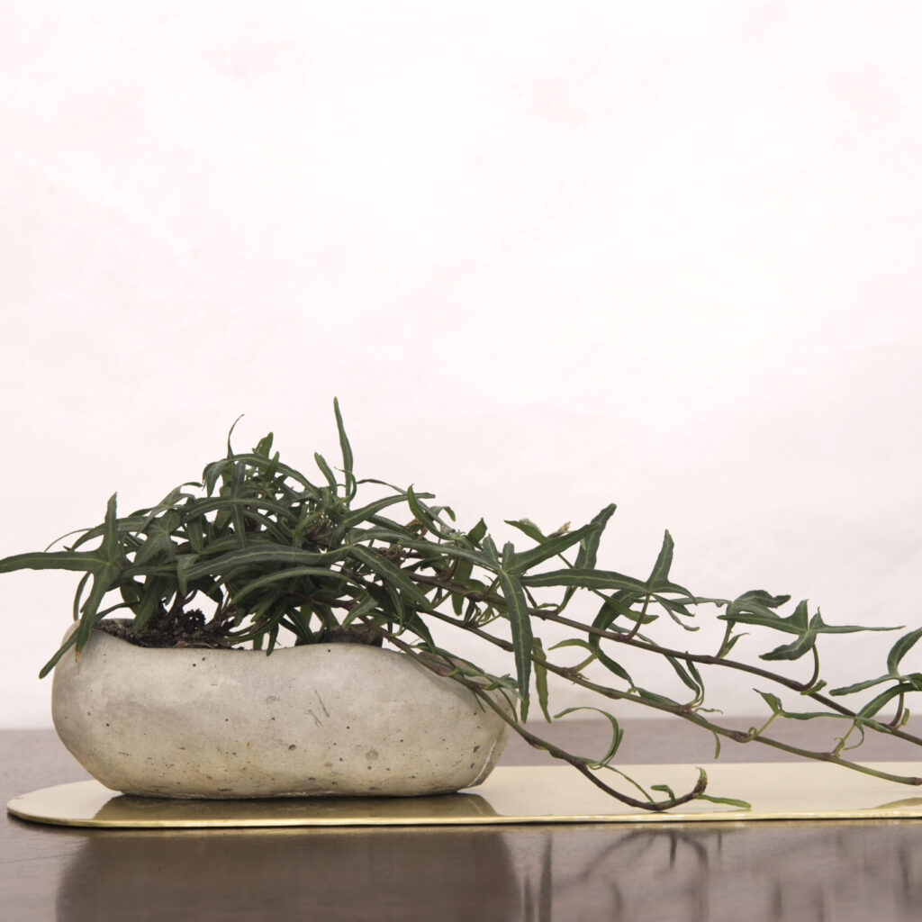 Kusamono - minimalistyczne japońskie dekoracje w przestrzeni formowej