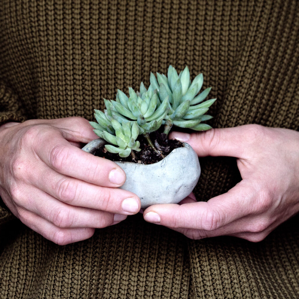 Kusamono - minimalistyczny prezent związany z Japonią