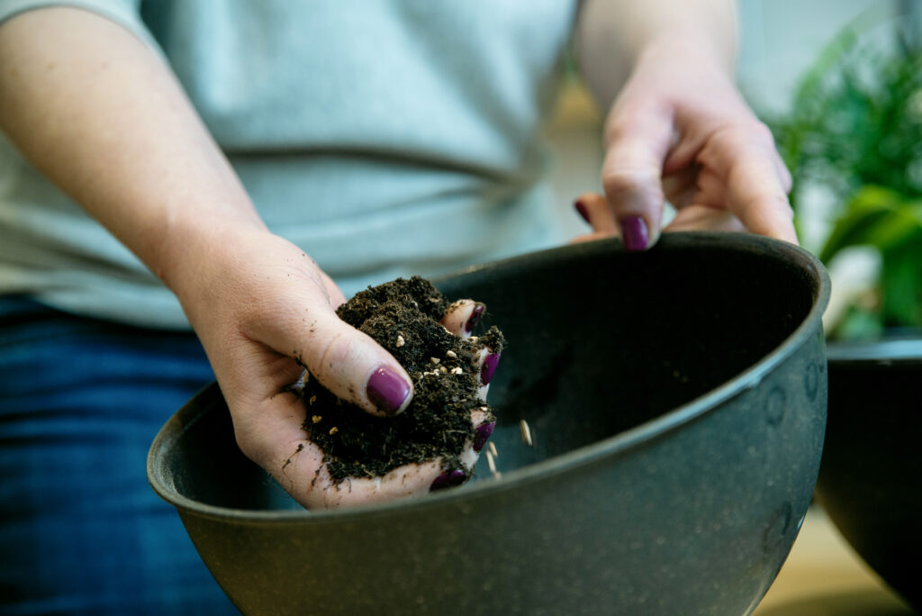 Warsztaty kokedama - nauka krok po kroku