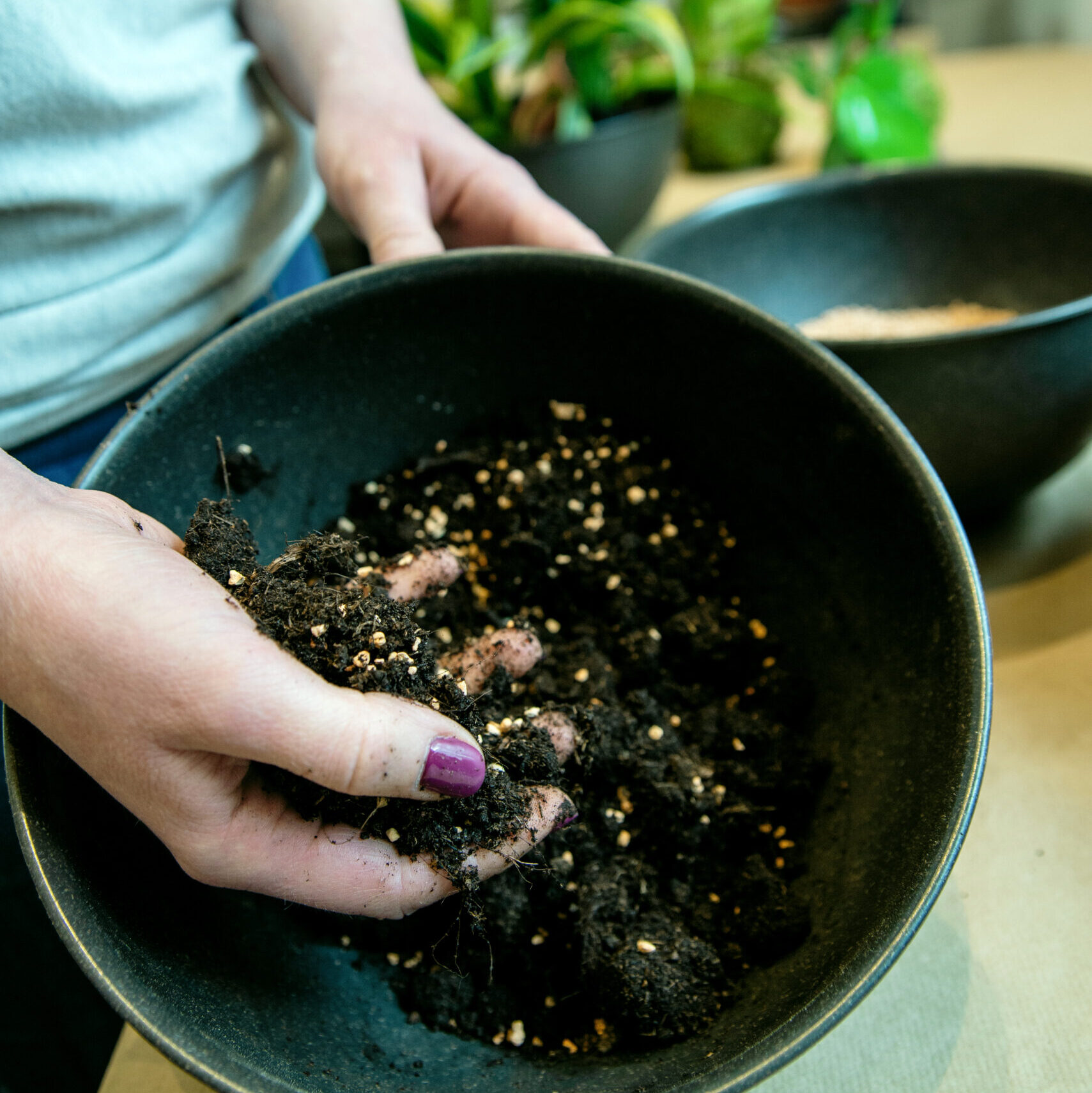Warsztaty kokedamy – wybór roślin i przygotowanie podłoża