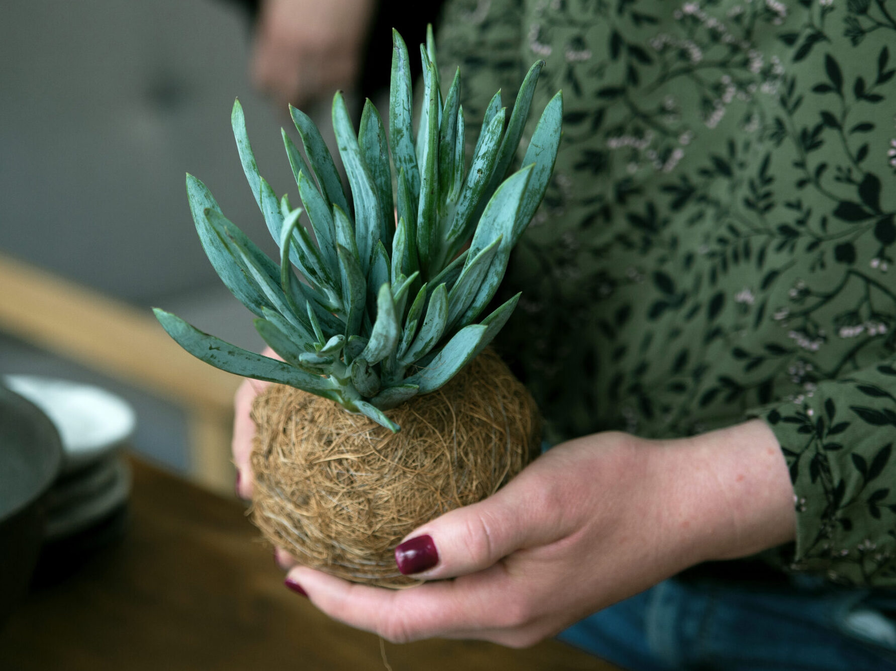 Warsztaty roślinne - kokedama