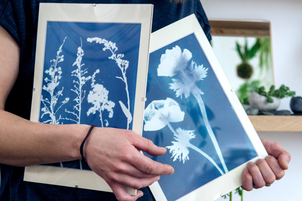 Roślinne wzory na papierze – efekt warsztatów cyjanotypii