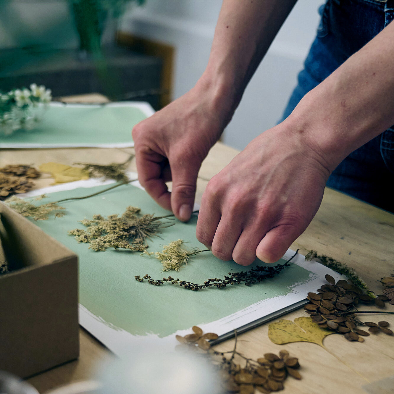 Tworzenie kompozycji roślinnej na papierze światłoczułym