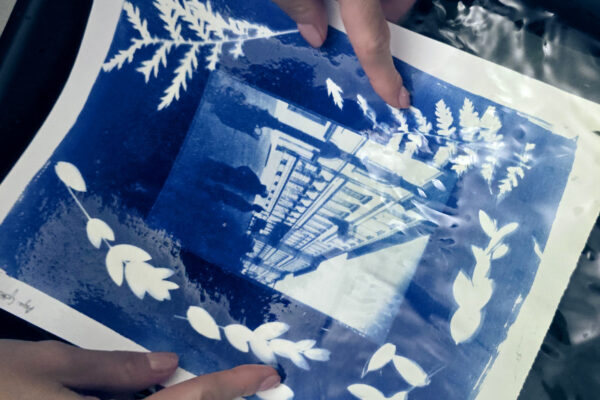 Kreatywna praca z naturą – warsztaty cyjanotypii