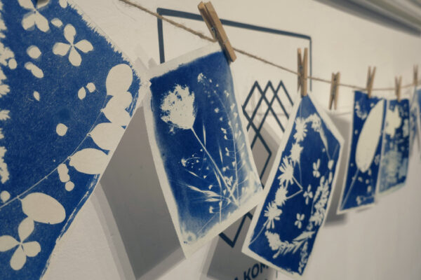 Cyjanotypia – artystyczne odbitki z roślin