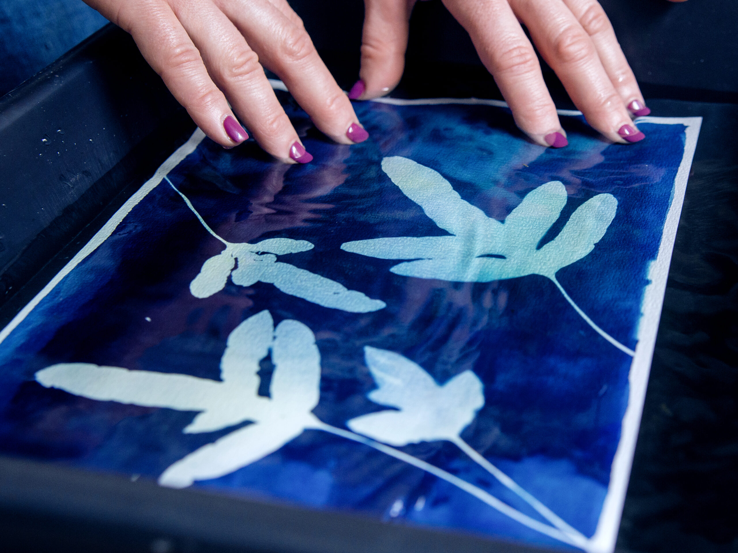 Krok po kroku – jak powstaje odbitka cyjanotypowa na warsztatach cyjanotypii