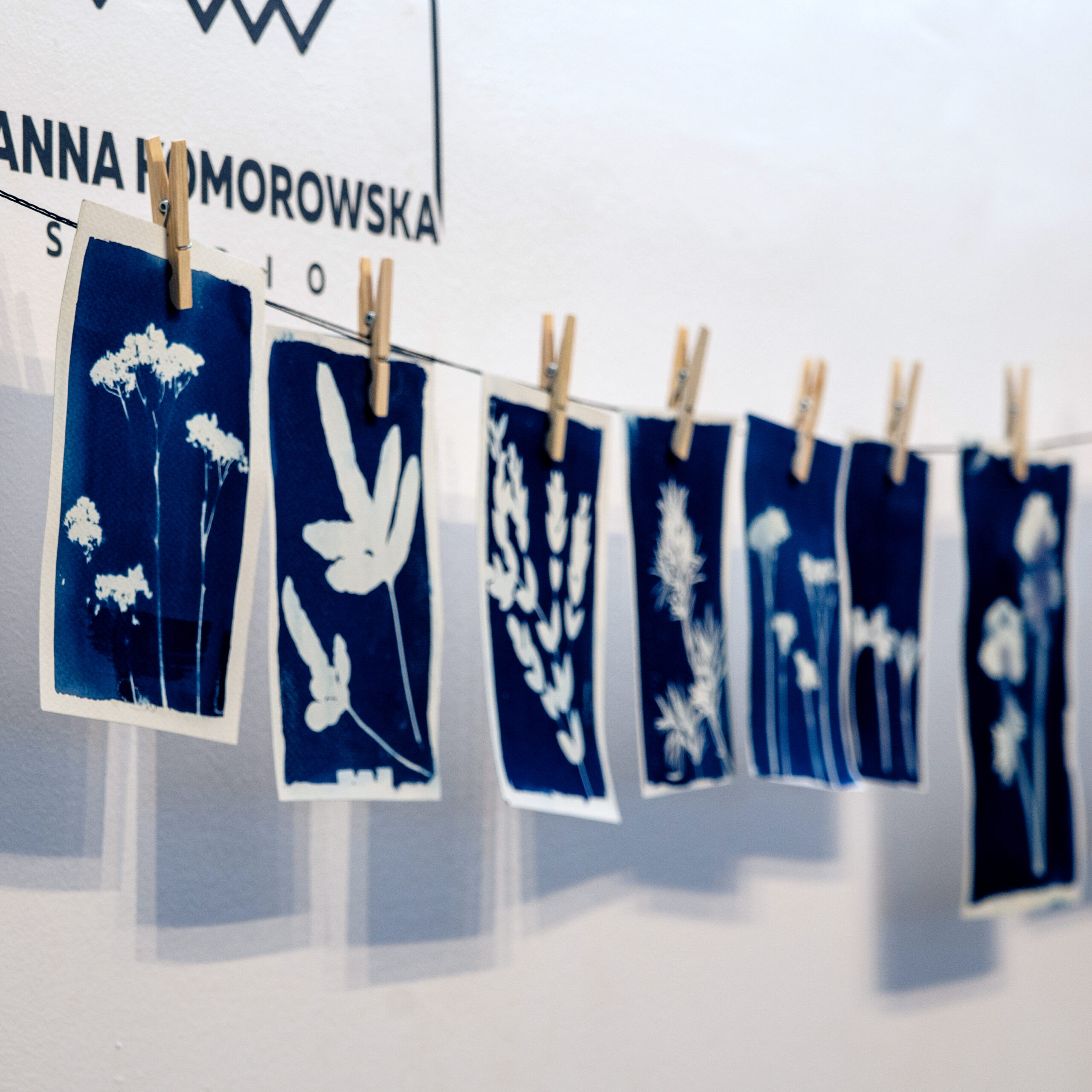 Roślinne wzory na papierze- efekt warsztatów cyjanotypii