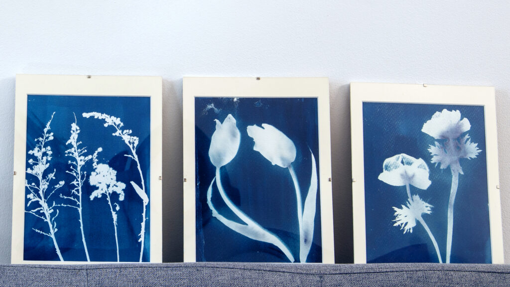Warsztaty cyjanotypii – druk słoneczny z roślinnymi wzorami