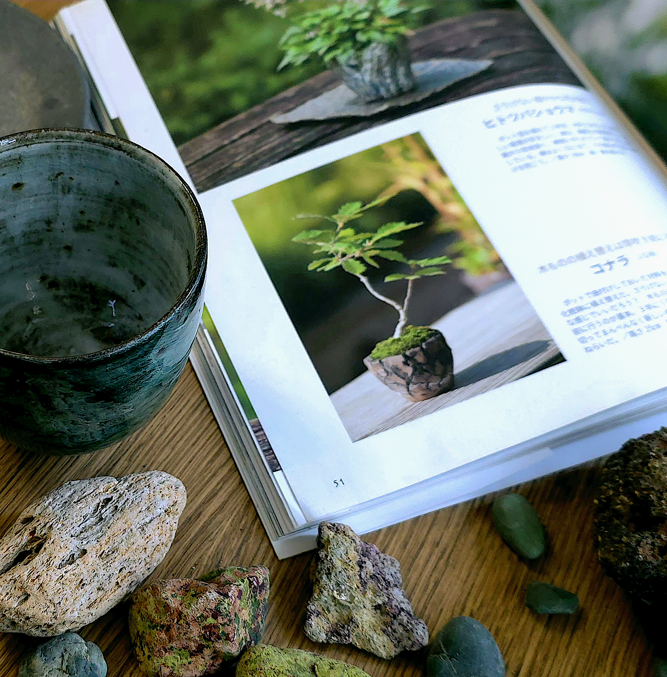 Wprowadzenie do warsztatów kusamono – omówienie techniki i materiałów