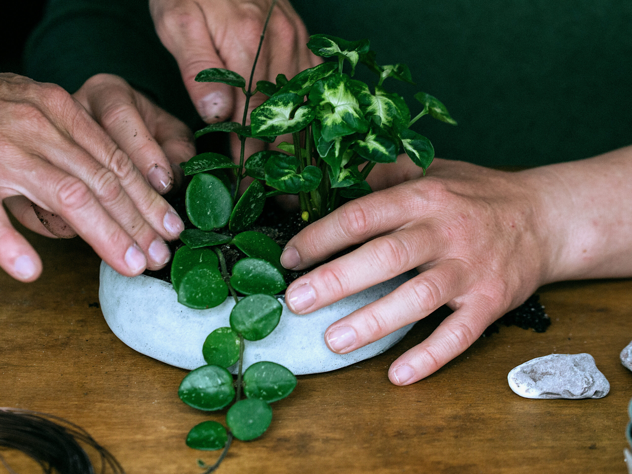 Uczestnicy warsztatów roślinnych przy pracy nad kusamono