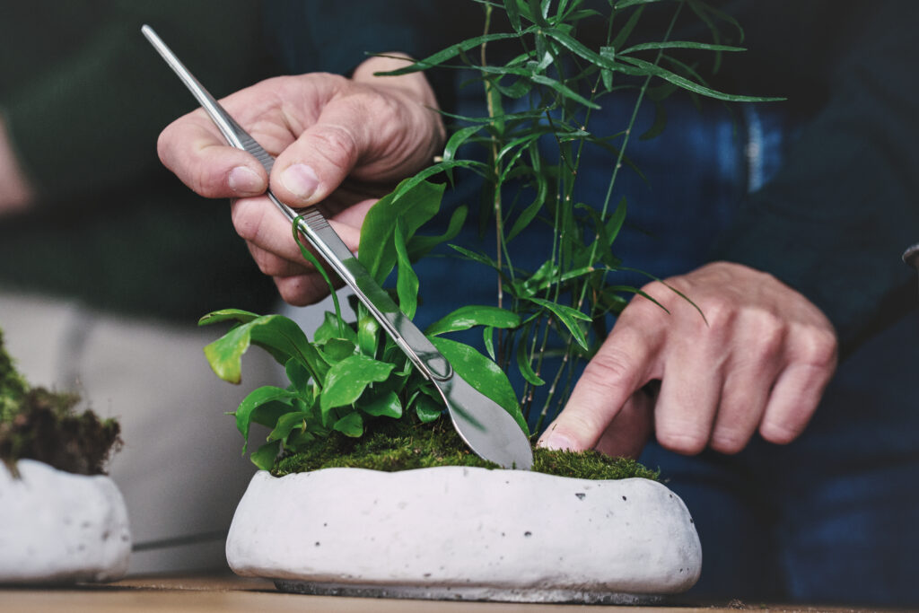 Warsztaty kusamono w Warszawie – praca nad układem roślin