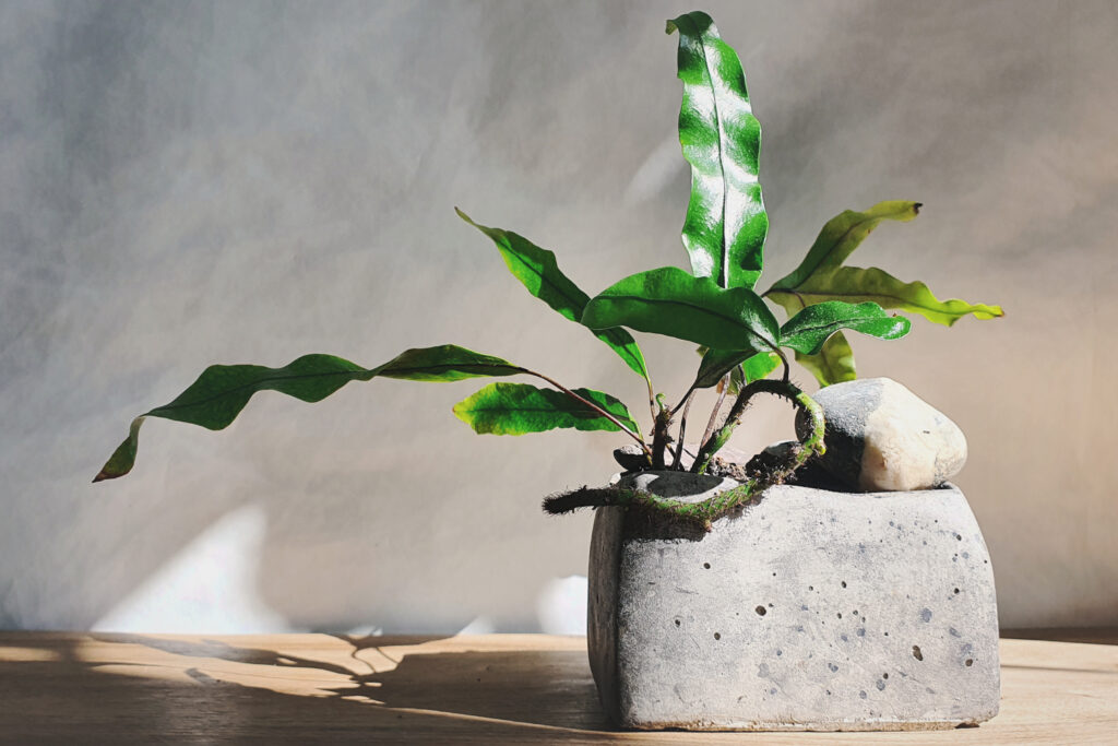 Warsztaty kusmaono w Warszawie - gotowa kompozycja