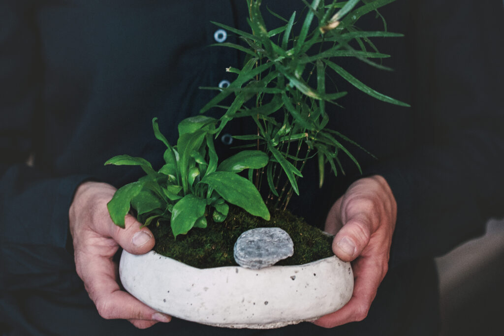 Prezentacja ukończonych kompozycji kusamono po warsztatach.