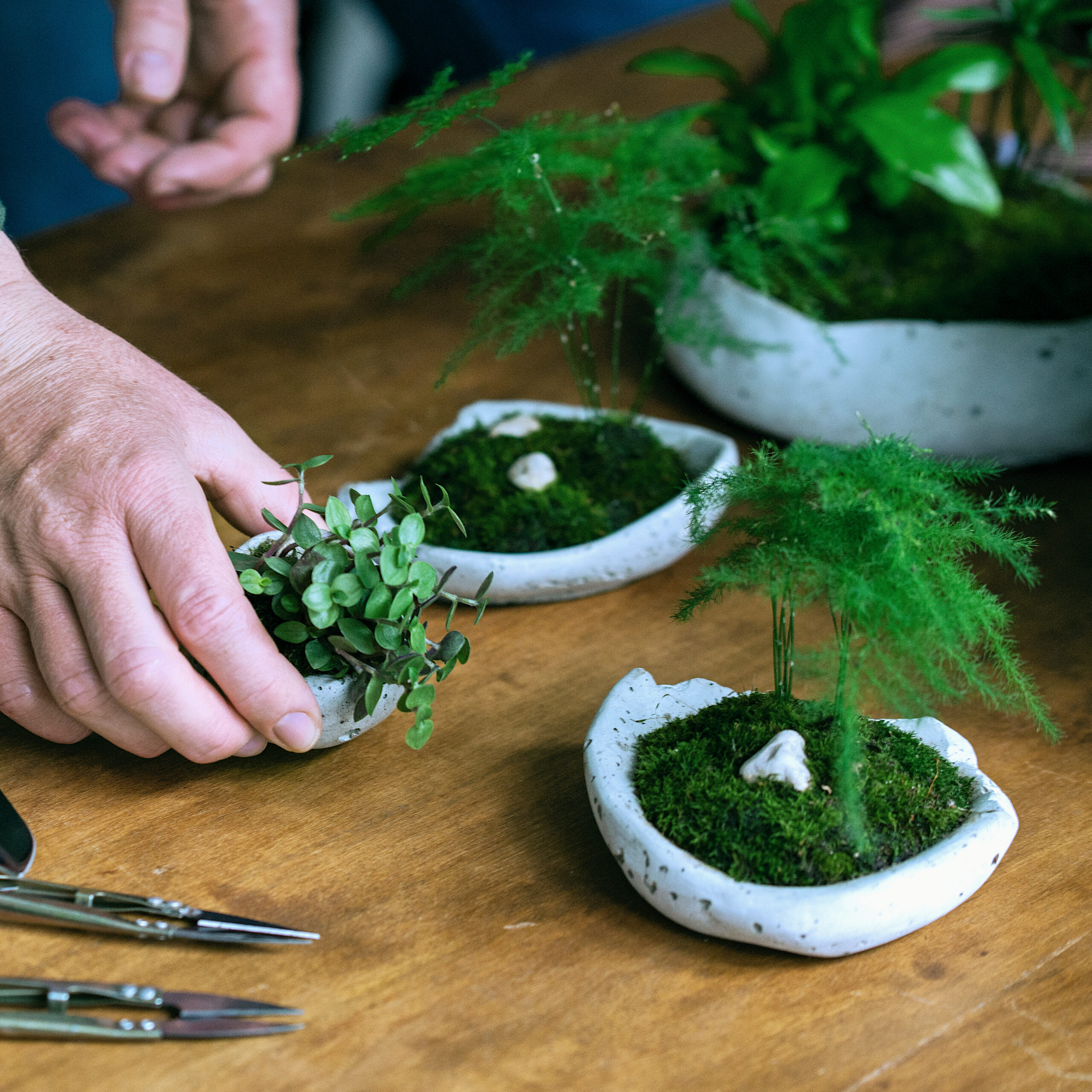 Zestaw gotowych kusamono przygotowanych przez uczestników