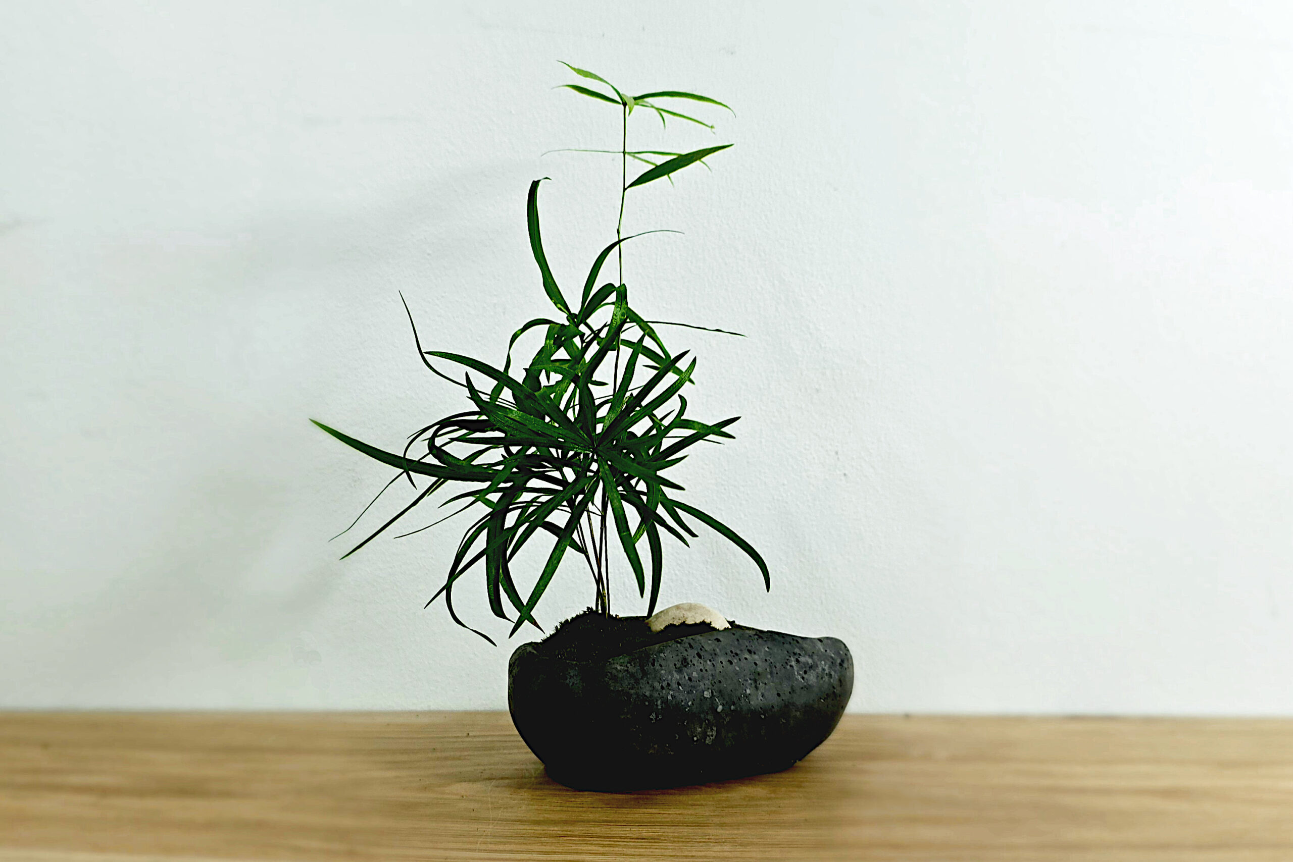 sztuka roślinna inspirowana Japonią - kusmaono