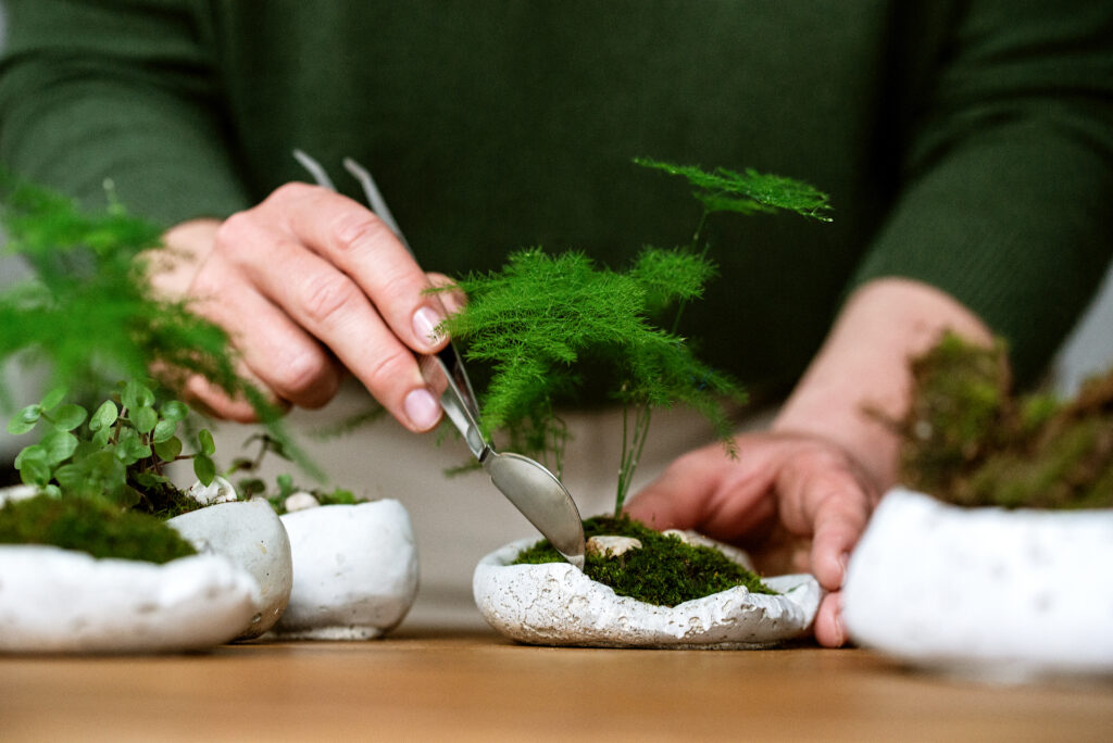 Warsztaty roślinne kusamono w warszawie